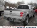 2010 Ingot Silver Metallic Ford F150 XLT SuperCrew 4x4  photo #6