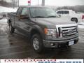 2010 Sterling Grey Metallic Ford F150 XLT SuperCab 4x4  photo #4