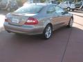 Pewter Metallic - CLK 350 Coupe Photo No. 4