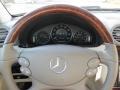 Pewter Metallic - CLK 350 Coupe Photo No. 18