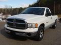 2004 Bright White Dodge Ram 1500 SLT Regular Cab  photo #7