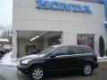 2008 Nighthawk Black Pearl Honda CR-V EX-L 4WD  photo #1