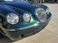Jaguar Racing Green Metallic - S-Type 3.0 Photo No. 9
