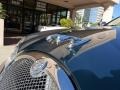 Jaguar Racing Green Metallic - S-Type 3.0 Photo No. 11