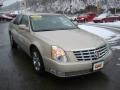 Gold Mist - DTS Sedan Photo No. 5