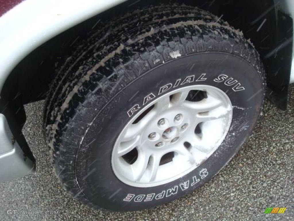 2002 Durango SLT 4x4 - Dark Garnet Red Pearl / Dark Slate Gray photo #7