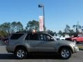 Driftwood Pearl - 4Runner SR5 Photo No. 6
