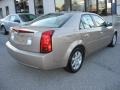 Sand Storm - CTS Sedan Photo No. 7