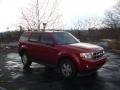 2010 Sangria Red Metallic Ford Escape XLT V6 4WD  photo #1