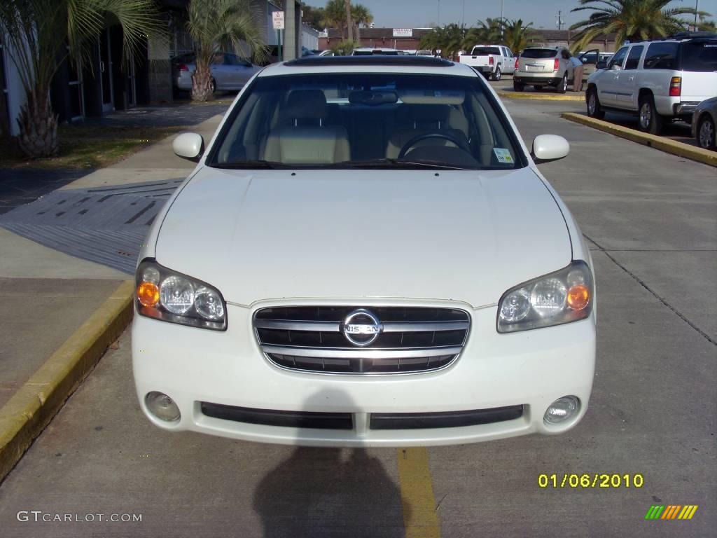 2002 Maxima SE - Glacier White Pearl / Blond photo #6