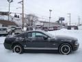 Alloy Metallic 2007 Ford Mustang GT Deluxe Coupe