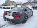 2007 Alloy Metallic Ford Mustang GT Deluxe Coupe  photo #2