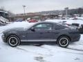 2007 Alloy Metallic Ford Mustang GT Deluxe Coupe  photo #5