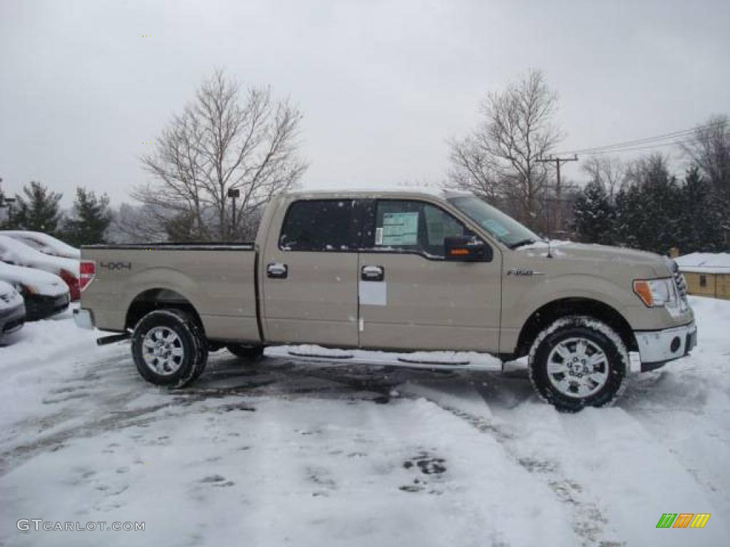 Pueblo Gold Metallic Ford F150