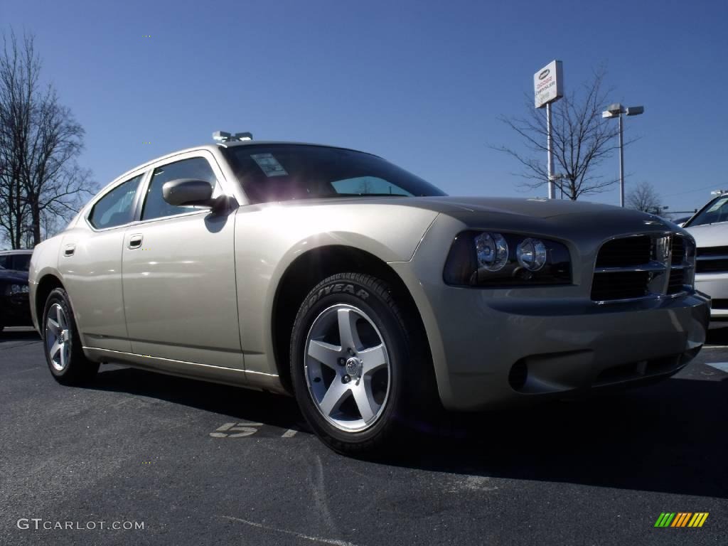 2010 Charger SE - White Gold Pearl / Dark Slate Gray photo #4