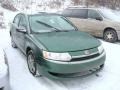 2004 Rain Forest Green Saturn ION 2 Sedan #24387887