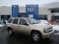 Sandstone Metallic - TrailBlazer LS 4x4 Photo No. 1