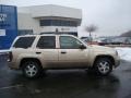 Sandstone Metallic - TrailBlazer LS 4x4 Photo No. 2