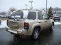Sandstone Metallic - TrailBlazer LS 4x4 Photo No. 3