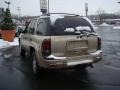 Sandstone Metallic - TrailBlazer LS 4x4 Photo No. 5