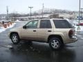 Sandstone Metallic - TrailBlazer LS 4x4 Photo No. 6