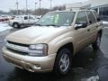 Sandstone Metallic - TrailBlazer LS 4x4 Photo No. 7