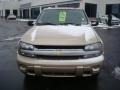 Sandstone Metallic - TrailBlazer LS 4x4 Photo No. 8
