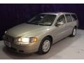 Ash Gold Metallic - V70 2.4 Photo No. 28