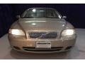 Ash Gold Metallic - V70 2.4 Photo No. 40