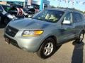 2007 Platinum Sage Hyundai Santa Fe GLS  photo #7