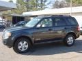 2008 Black Pearl Slate Metallic Ford Escape XLT  photo #7