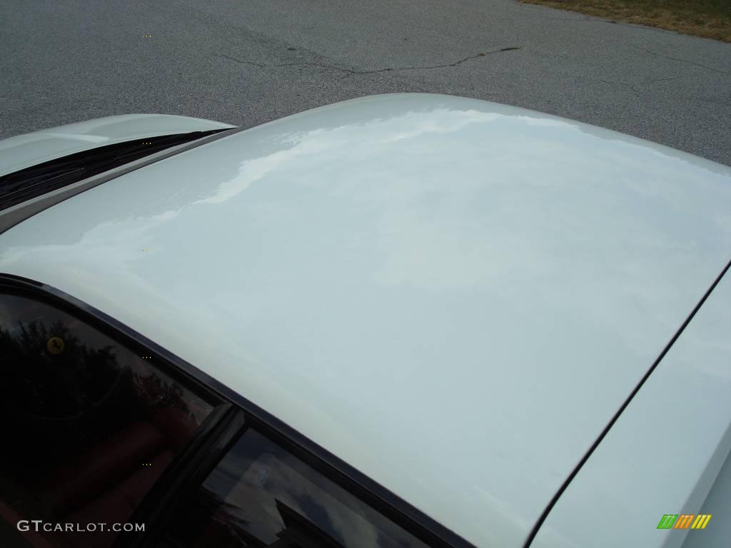 1991 Testarossa  - Bianco (White) / Rosso photo #17