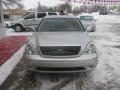 Millennium Silver Metallic - LS 430 Photo No. 17