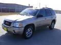 2002 Pewter Metallic GMC Envoy SLT  photo #7