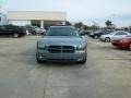 Silver Steel Metallic - Charger  Photo No. 8