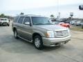 Silver Sand - Escalade  Photo No. 7