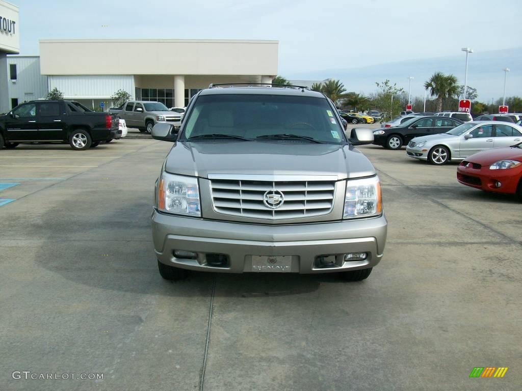 2002 Escalade  - Silver Sand / Shale photo #8