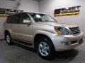 Savannah Beige Metallic - GX 470 Photo No. 3