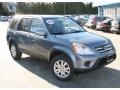 Pewter Pearl - CR-V SE 4WD Photo No. 3