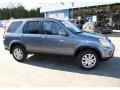 Pewter Pearl - CR-V SE 4WD Photo No. 4