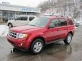 2009 Sangria Red Metallic Ford Escape XLT V6 4WD  photo #15