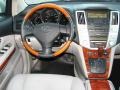 Millenium Silver Metallic - RX 330 Photo No. 14