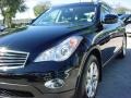 2008 Black Obsidian Infiniti EX 35 Journey  photo #10