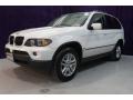 Alpine White - X5 3.0i Photo No. 38