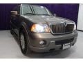 2004 Mineral Grey Metallic Lincoln Navigator Ultimate  photo #41