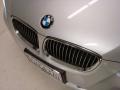 2007 Titanium Silver Metallic BMW 3 Series 335i Coupe  photo #14