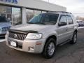 Light Sage Metallic - Mariner Premier 4WD Photo No. 1