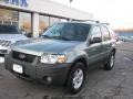 Titanium Green Metallic 2005 Ford Escape Hybrid 4WD