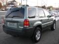 Titanium Green Metallic - Escape Hybrid 4WD Photo No. 3