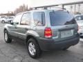 Titanium Green Metallic - Escape Hybrid 4WD Photo No. 4